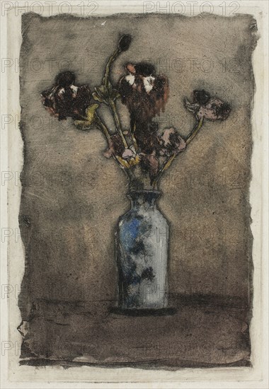 Anemonies, 1897, Theodore Roussel, French, worked in England, 1847-1926, England, Color etching and aquatint on ivory laid paper, 113 × 75 mm (image), 120 × 82 mm (plate), 150 × 114 mm (sheet)