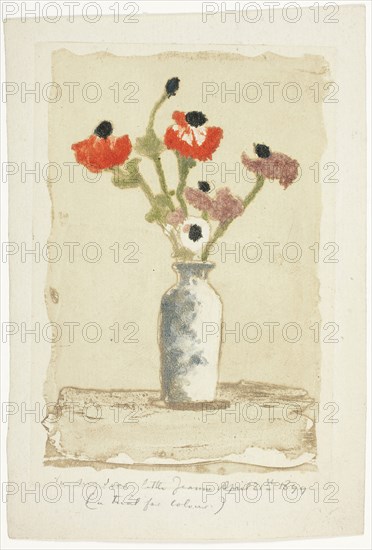 Anemonies, 1897, Theodore Roussel, French, worked in England, 1847-1926, England, Color etching and aquatint on ivory laid paper, 113 × 75 mm (image), 120 × 82 mm (plate), 143 × 97 mm (sheet)