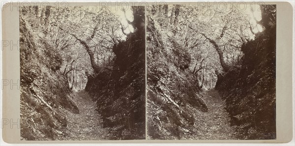 Untitled (Lydford), 1860s, Devon, Albumen print, stereo, 8.2 × 7.6 cm (each image), 8.6 × 17.7 cm (card)