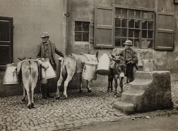 Milk Donkeys, c. 1890, Frank Meadow Sutcliffe, English, 1853–1941, England, Platinum print, 13.2 × 17.9 cm (image), 14 × 18.5 cm (paper)