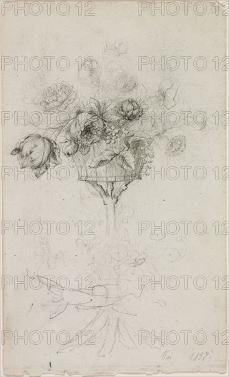 Vase of Flowers, May 1857, Pierre Auguste Renoir, French, 1841–1919, France, Graphite on white wove paper, 173 × 103 mm