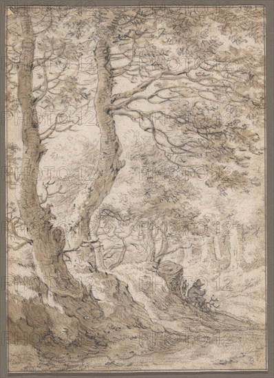 A Forest Interior, with a Seated Figure, n.d., Herman Saftleven, Dutch, 1609-1685, Netherlands, Black chalk and brush and brown wash, with touches of black crayon and traces of opaque white watercolor, ruled in pen and black ink at edges, on ivory laid paper, 185 x 130 mm