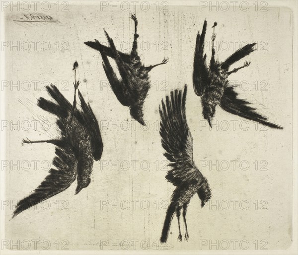 The Four Dead Ravens, c. 1888, Henri Charles Guérard, French, 1846-1897, France, Drypoint and plate tone in black on cream laid paper, 205 × 235 mm (image), 217 × 255 mm (plate), 304 × 460 mm (sheet)