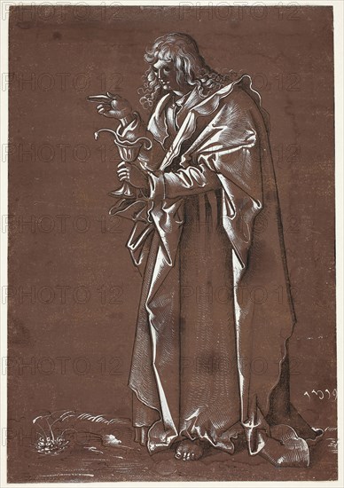 Saint John the Evangelist, 1519, Hans Franckenberger, the Elder, German, active 1519-c. 1530, Germany, Pen and black ink, with brush and gray wash, heightened with white gouache, on cream laid paper, prepared with a brown wash ground, laid down on cream laid paper, 292 × 203 mm