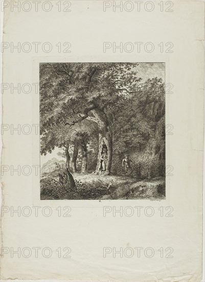 Nymph Hiding in a Tree, plate eight from Paysages Dédiés à M. Warelet, 1764, Salomon Gessner, Swiss, 1730-1788, Switzerland, Etching on cream laid paper, 207 x 188 mm (plate), 386 x 280 mm (sheet)