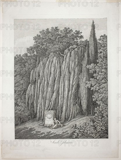 Weeping Willow, 1802, Jacob Philipp Hackert, German, 1737-1807, Germany, Etching on off-white laid paper, 494 x 373 mm (plate), 574 x 432 mm (sheet)