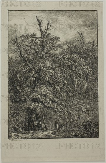 Great Tree, 1809, Domenico Quaglio II, German, 1787-1837, Germany, Etching on cream wove paper, 174 x 111 mm (plate), 182 x 119 mm (sheet)