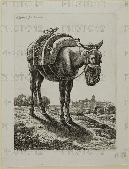 Feeding Mule, Front, from Die Zweite Thierfolge, 1800, Johann Christian Reinhart, German, 1761-1847, Germany, Etching in black on ivory laid paper, 146 x 108 mm (plate), 174 x 132 mm (sheet)