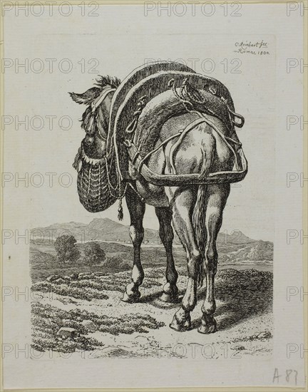 Feeding Mule, Rear, from Die Zweite Thierfolge, 1800, Johann Christian Reinhart, German, 1761-1847, Germany, Etching in black on ivory laid paper, 144 x 108 mm (plate), 169 x 134 mm (sheet)