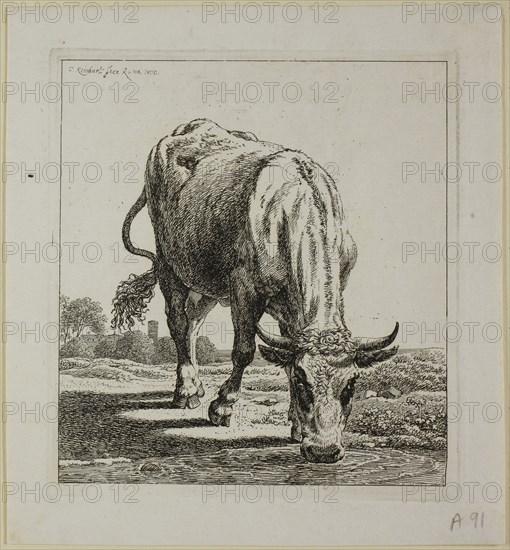 Cow Drinking, from Die Zweite Thierfolge, 1800, Johann Christian Reinhart, German, 1761-1847, Germany, Etching on ivory laid paper, 140 x 128 mm (plate), 168 x 189 mm (sheet)