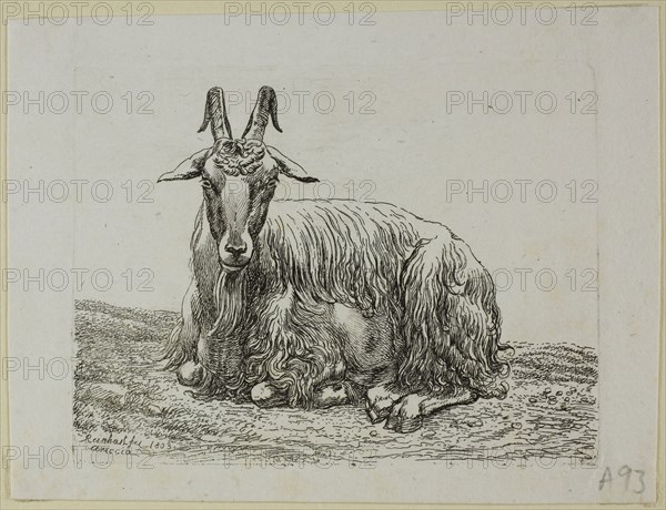 Lying Goat, from Die Zweite Thierfolge, 1800, Johann Christian Reinhart, German, 1761-1847, Germany, Etching on ivory laid paper, 85 x 113 mm (plate), 105 x 138 mm (sheet)