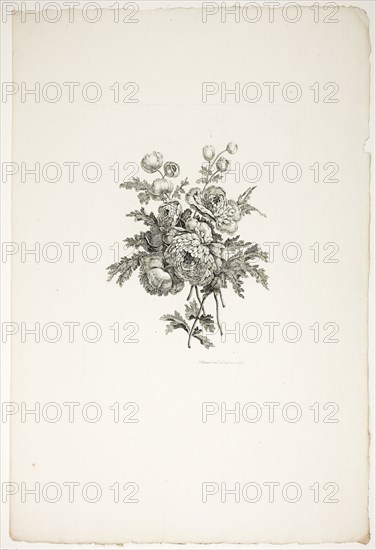 Bouquet with Peonies, from Collection of Different Bouquets of Flowers, Invented and Drawn by Jean Pillement and Engraved by P. C. Canot, published July 4, 1760, Pierre-Charles Canot (French, 1710-1777), after Jean-Baptiste Pillement (French, 1728-1808), published by Charles Leviez (French, 1708-1778), France, Etching on ivory laid paper, 300 × 212 mm (plate), 533 × 357 mm (sheet)
