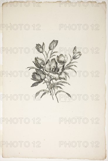 Bouquet with Tulips, from Collection of Different Bouquets of Flowers, Invented and Drawn by Jean Pillement and Engraved by P. C. Canot, published July 4, 1760, Pierre-Charles Canot (French, 1710-1777), after Jean-Baptiste Pillement (French, 1728-1808), published by Charles Leviez (French, 1708-1778), France, Etching on ivory laid paper, 299 × 210 mm (plate), 540 × 358 mm (sheet)