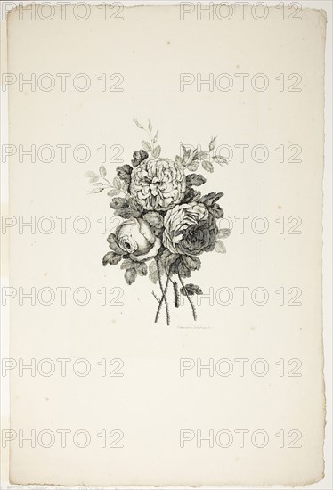 Bouquet with Roses, from Collection of Different Bouquets of Flowers, Invented and Drawn by Jean Pillement and Engraved by P. C. Canot, published July 4, 1760, Pierre-Charles Canot (French, 1710-1777), after Jean-Baptiste Pillement (French, 1728-1808), published by Charles Leviez (French, 1708-1778), France, Etching on ivory laid paper, 299 × 211 mm (plate), 542 × 358 mm (sheet)