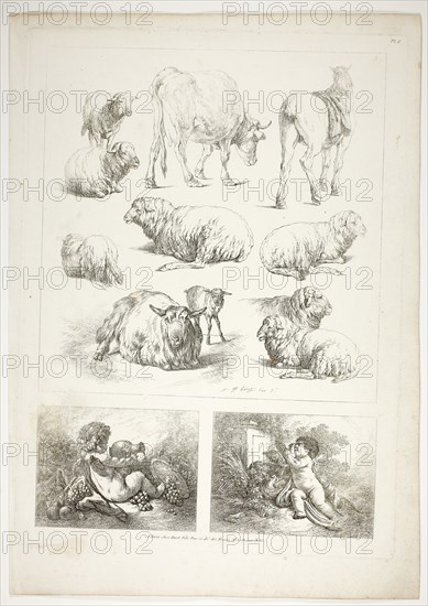 Plate Eight of 38 from Oeuvres de J. B. Huet, 1796–99, Jean Baptiste Huet, French, 1745-1811, France, Etching on paper, 480 × 350 mm