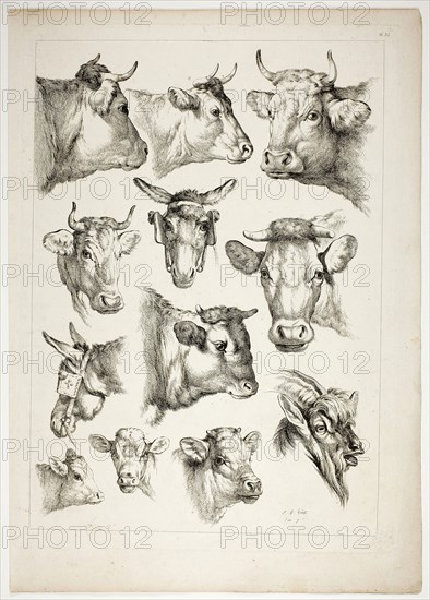 Plate 35 of 38 from Oeuvres de J. B. Huet, 1796–99, Jean Baptiste Huet, French, 1745-1811, France, Etching on paper, 480 × 350 mm