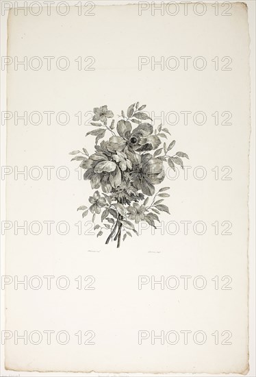 Bouquet with Poppies, from Collection of Different Bouquets of Flowers, Invented and Drawn by Jean Pillement and Engraved by P. C. Canot, published July 4, 1760, Christopher Norton (French, died 1769), after Jean-Baptiste Pillement (French, 1728-1808), France, Etching on ivory laid paper, 303 × 213 mm (plate), 537 × 354 mm (sheet)