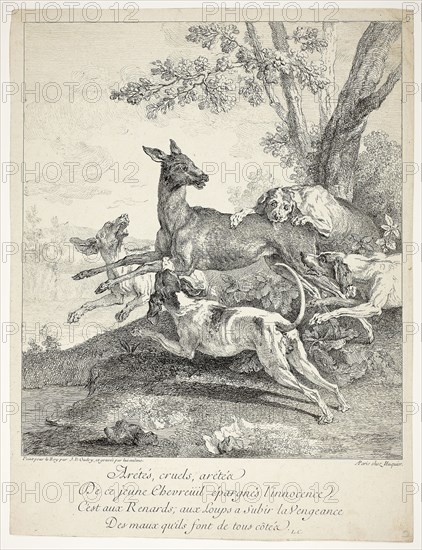Deer Attacked by Dogs, 1725, Jean-Baptiste Oudry, French, 1686-1755, France, Etching on cream laid paper, 376 × 286 mm