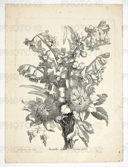 Hyacinthe and Passion Fruit Flower, plate two from Mes Petits Bouquets, n.d., Charles Germain de Saint-Aubin, French, 1721–1786, France, Etching on paper, 237 × 175 mm (plate), 278 × 200 mm (sheet)