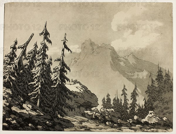 Pine Trees in the Mountains, 1789, John Robert Cozens, English, 1752-1799, England, Aquatint and soft ground etching on cream wove paper, 242 × 316 mm