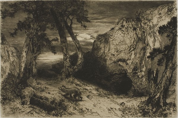 The Coyote, Arizona, 1880, Thomas Moran, American, born England, 1837-1926, United States, Etching, drypoint, roulette, and sandpaper on cream wove paper, 149 x 223 mm (image), 151 x 228 mm (plate), 278 x 382 mm (sheet)