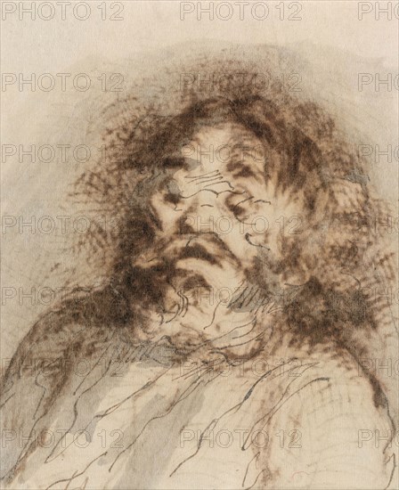 Bearded Man, n.d., Honoré Victorin Daumier, French, 1808-1879, France, Pen and brown iron gall ink on cream wove paper, 130 × 121 mm