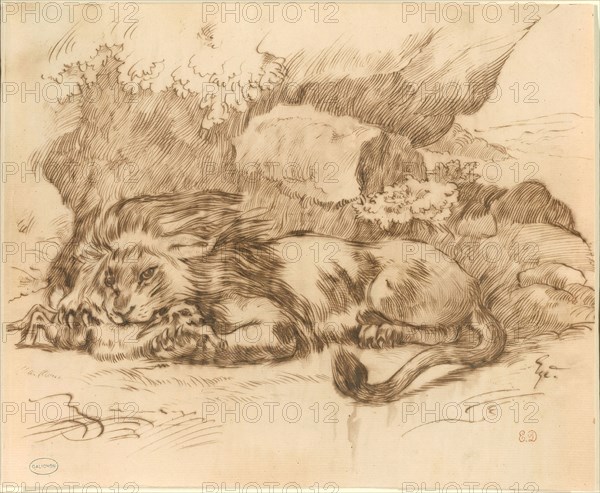 Lion Devouring a Rabbit, n.d., Attributed to Eugène Delacroix, French, 1798–1863, France, Pen and brown iron gall ink, over graphite, on ivory laid paper, laid down on ivory Japanese paper, 260 × 320 mm