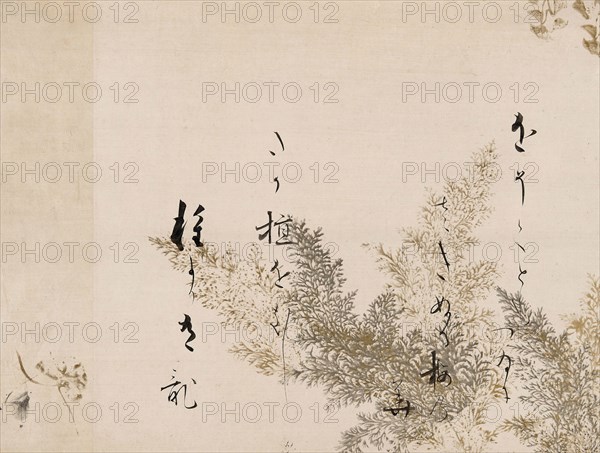 A Poem from the Shin Kokinshu with Design of Shinobugusa Grasses, 1605/10, Hon’ami Koetsu, Japanese, 1558-1637, Fragment of a handscroll mounted as a hanging scroll, ink, gold, silver-colored pigment, and mica on paper, 33.6 × 44.5 cm (13 1/4 × 17 1/2 in.)