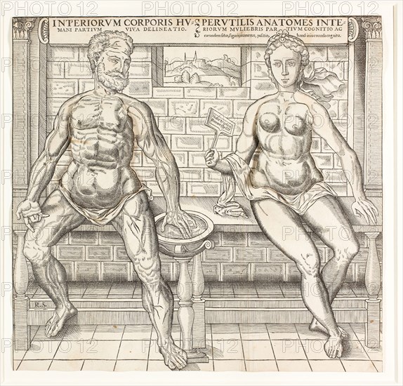 Interiorum corporis humani partium viva delineatio, from the second edition of the Compendiosa totius anatomie delineation, 1555/59, Monogrammist R. S., active in London or Paris, 1550/65, England, Woodcut in black on ivory laid paper, with cut and tipped ivory laid papers, 358 × 370 mm (image/sheet, trimmed within block mark)