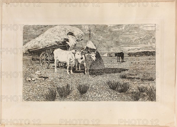 Oxen and Wagon (Maremma), 1886/87, Giovanni Fattori, Italian, 1825-1908, Italy, Etching in black on buff wove paper, laid down on buff wove paper (chine collé), 221 x 386 mm (image), 237 x 419 mm (primary support), 250 x 433 mm (plate), 354 x 510 mm (secondary support)