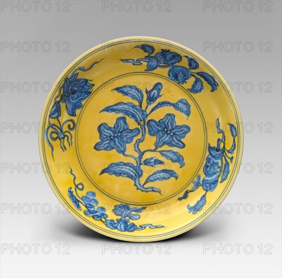 Dish with Floral and Fruit Sprays (Gardenia Dish), Ming dynasty, Hongzhi reign mark and period (1488–1505), China, Porcelain painted in underglaze blue and overglaze yellow enamel, Diam: 25.6 cm (10 1/8 in.), Untitled, 1855/68, Georgina Cowper, attributed, English, mid 19th century, England, Albumen print, 33.7 × 19.6 cm (image), 24.1 × 20 cm (paper, oval), 29.1 × 23.4 cm (album page)
