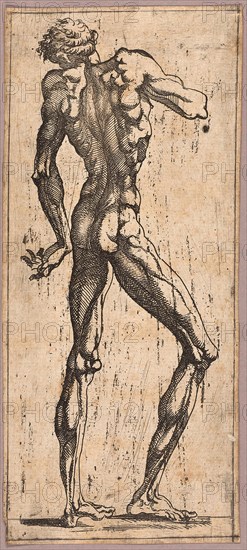 Man Turning His Head to the Left, c. 1543, Juste de Juste, French, 1505-1559, France, Etching in black on cream laid paper, 196 × 84 mm (image/plate), 199 × 87 mm (sheet)