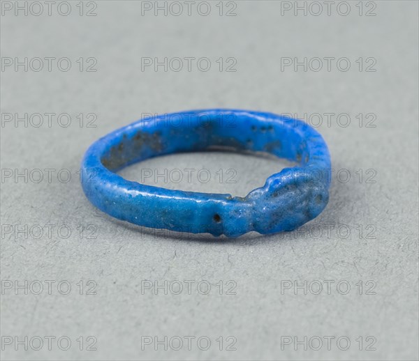Ring: Figure of a Fish, New Kingdom, Dynasty 18 (about 1390 BC), Egyptian, Egypt, Faience, W. 0.3 cm (1/8 in.), diam. 1.9 cm (3/4 in.)