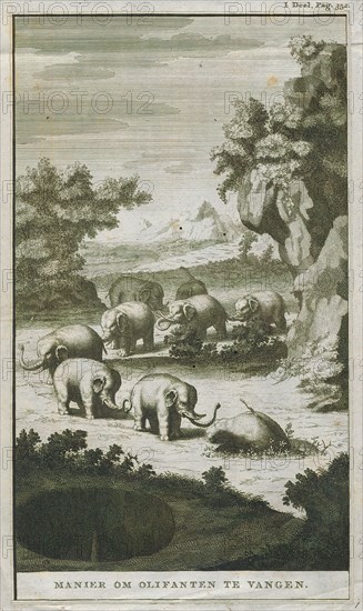 Elephas indicus, Print, Elephas is one of two surviving genera in the family of elephants, Elephantidae, with one surviving species, the Asian elephant, Elephas maximus., 1700-1880
University of Amsterdam