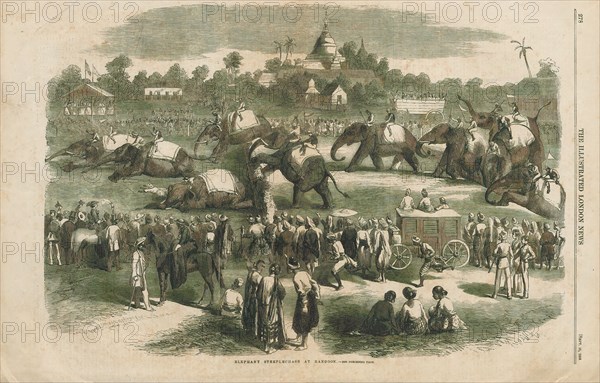 Elephas indicus, Print, Elephas is one of two surviving genera in the family of elephants, Elephantidae, with one surviving species, the Asian elephant, Elephas maximus., 1858
University of Amsterdam