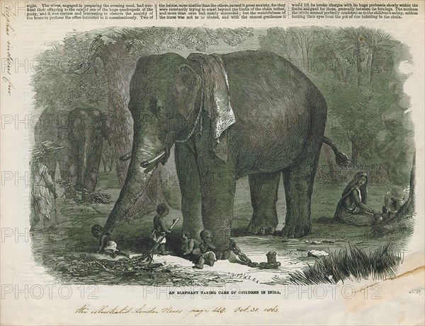 Elephas indicus, Print, Elephas is one of two surviving genera in the family of elephants, Elephantidae, with one surviving species, the Asian elephant, Elephas maximus., 1863
University of Amsterdam