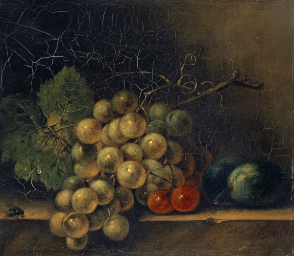 Still Life with Grape, Stone Fruit and Fly, 1686, oil on canvas, 18.5 x 20.5 cm, unsigned, Rachel Ruysch, (Fälschung / fake (?)), Amsterdam 1664–1750 Amsterdam