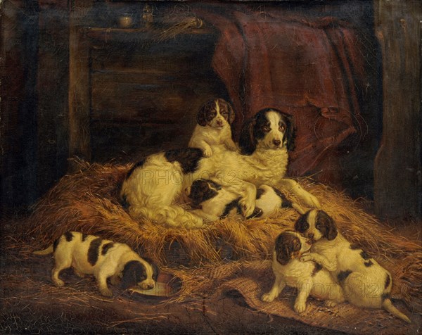 Dog family, 1845, oil on canvas, 63 x 80 cm, signed and dated on the reverse: L. Burckhardt., ad nat: pinxit., 1845., [below: coat of arms symbol of the Baslerstab], Johann Ludwig Burckhardt, Basel 1807–1878 Basel