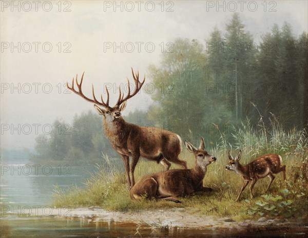 Deer at the lake, 1876, oil on canvas, 27.5 x 35 cm, signed, inscribed and dated lower right: M. Müller., Munich., 1876th, Moritz Müller, München 1841–1899 München