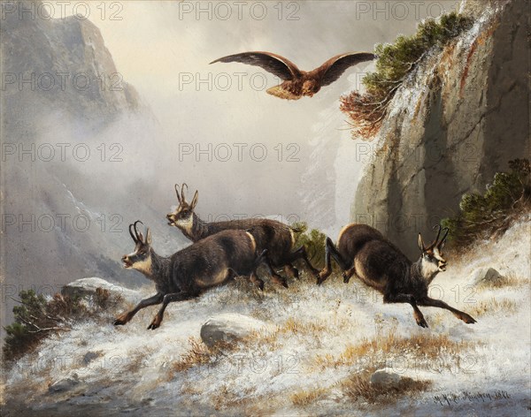 Chamois pursued by Adler, 1877, oil on canvas, 28 x 35 cm, signed, inscribed and dated lower right: M. Müller., Munich., 1877th, Moritz Müller, München 1841–1899 München