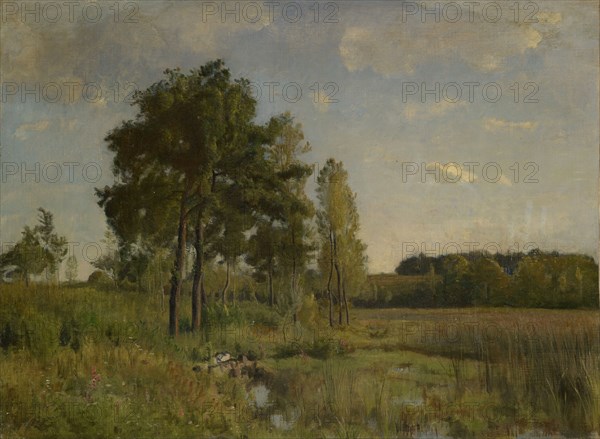 Marécage, oil on canvas, 48 x 64.5 cm, unmarked, Barthélemy Menn, Genf 1815–1893 Genf