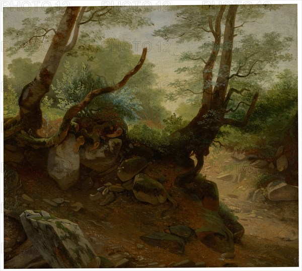 Forest angle, oil on cardboard, 32.5 x 37 cm, Jean-Antoine Linck, Genf 1766–1843 Genf