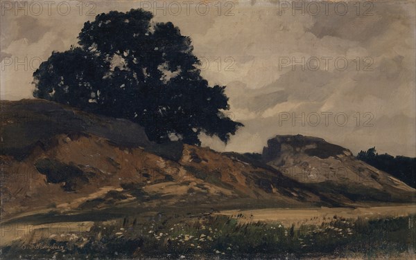 Hilly landscape with large tree, 1860-1890, oil on canvas, 26.5 x 42.5 cm, signed lower right: O. Fröhlicher [sic], Otto Frölicher, Solothurn 1840–1890 München
