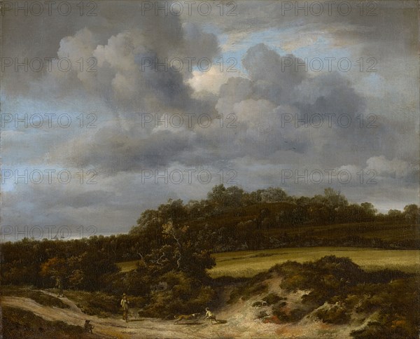 The Cornfield, 1660s, oil on canvas, 46.1 x 56.2 cm, signed lower right: vRuisdael [v and R ligated], Jacob Isaacksz. van Ruisdael, Haarlem 1628/29–1682 Amsterdam