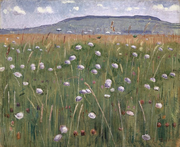 Meadow piece, around 1901, oil on canvas, 38.2 x 46.3 cm, signed lower right: F. Hodler., Ferdinand Hodler, Bern 1853–1918 Genf