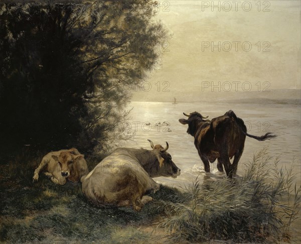 Cows on the Lakeshore, 1871, oil on canvas, 114.5 x 141.5 cm, signed and dated lower right: RKoller [ligated], 1871., Johann Rudolf Koller, Zürich 1828–1905 Zürich