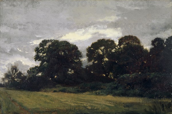 Landscape with groups of trees, 1847, oil on panel, 24.3 x 36.2 cm, signed and dated lower center: THR., 47 (incised), Théodore Rousseau, Paris 1812–1867 Barbizon