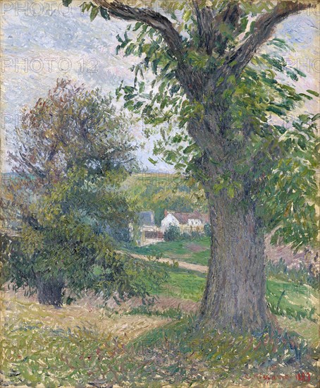 Châtaigniers à Osny, 1883, oil on canvas, 46.2 x 38.3 cm, signed lower right: C. Pissarro., 1883, Camille Pissarro, Charlotte Amalie, St.Thomas/Danish Virgin Island 1830–1903 Paris