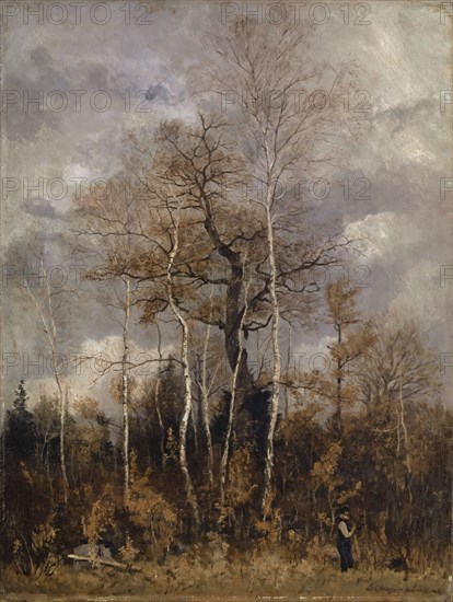 Oaks and birch trees in early spring, oil on canvas, 60 x 45.5 cm, signed lower right: C Th Meyer-Basel M, Carl Theodor Meyer-Basel, Basel 1860–1932 St. Gallen