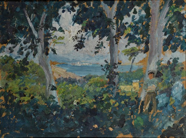 View through a grove of southern bay, oil on cardboard, 26 x 34.5 cm, Ernst Schiess, Basel 1872–1919 Valencia